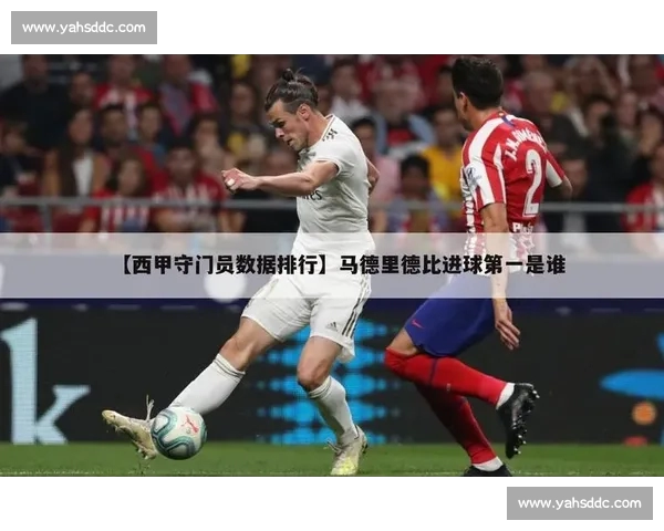 体育资讯官方版全面升级打造权威赛事报道与深度数据解读平台