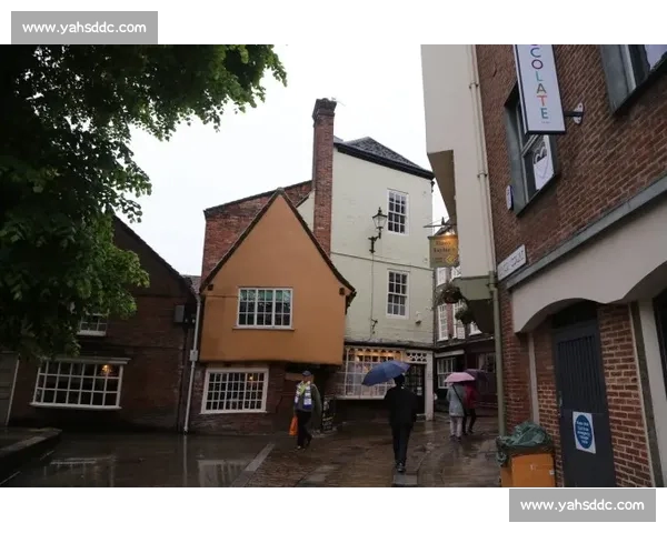 聚焦全球体育赛事动态解析赛程看点与最新战况速览深度前瞻盘点热