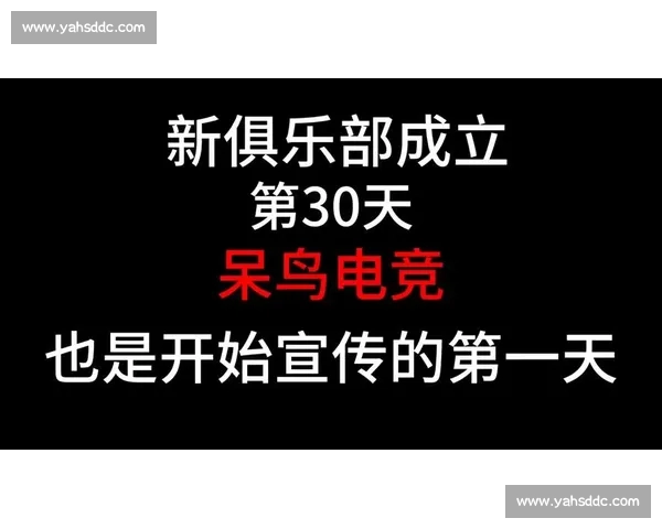 电子竞技直播入口全新体验指南与热门赛事推荐平台精彩内容一站式呈现